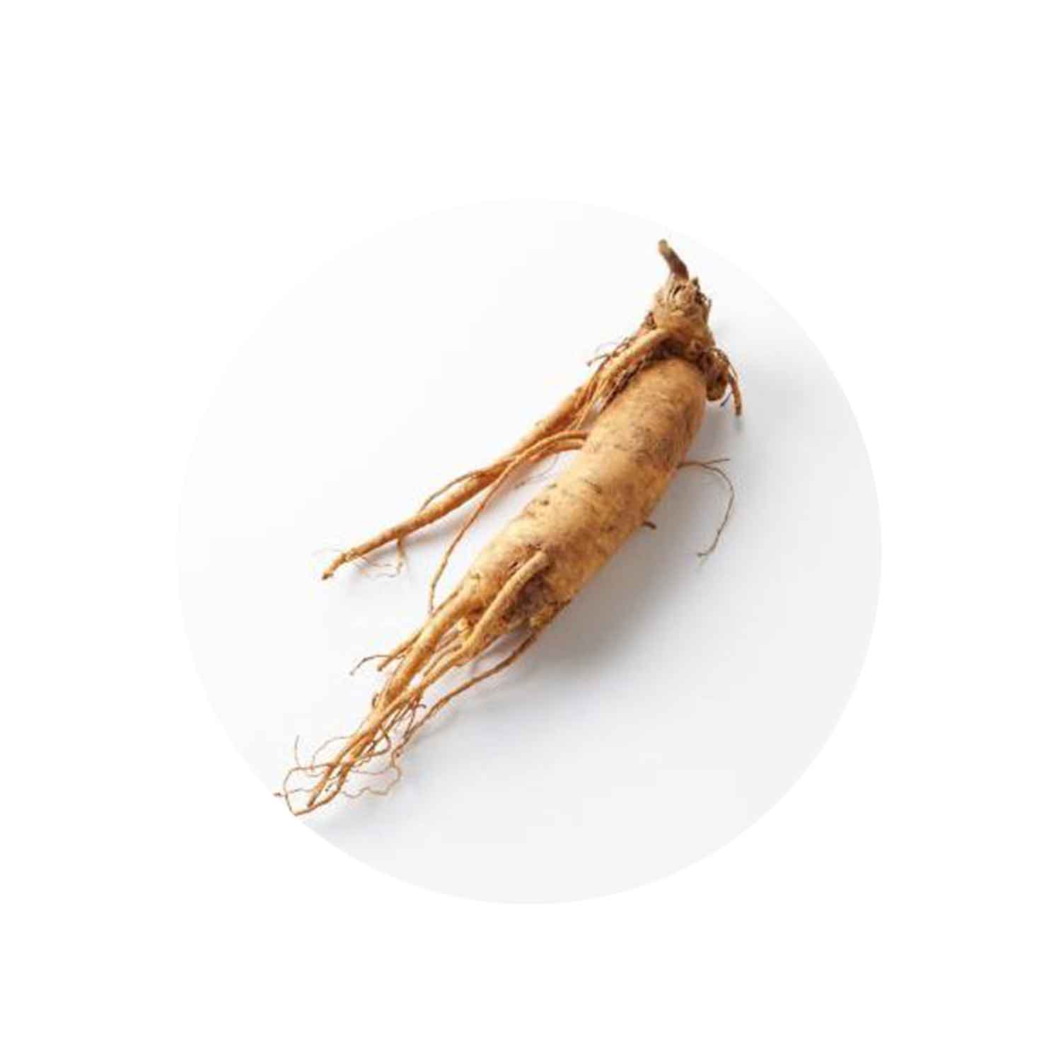ginseng root for hair biosoma