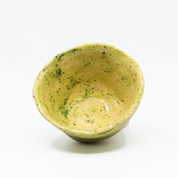 Biosoma-bowl-1
