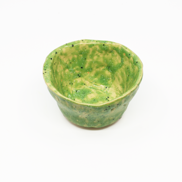 Biosoma-bowl-2-darker