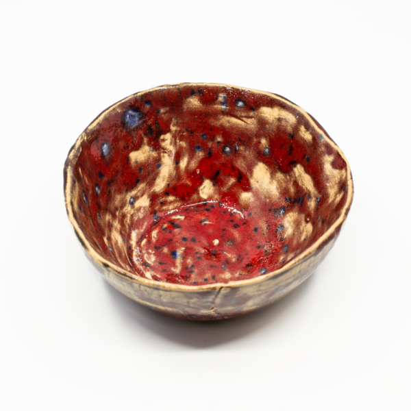 Biosoma-bowl-large
