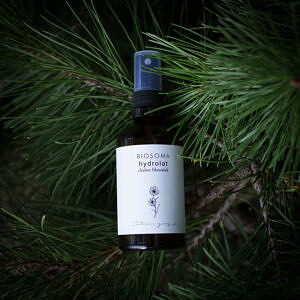 cornflower balm hydrolate
