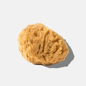 Gąbka naturalna morska 10-11,5 cm