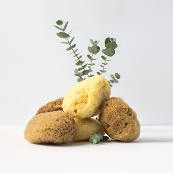 Gąbka naturalna morska do demakijażu i mycia twarzy